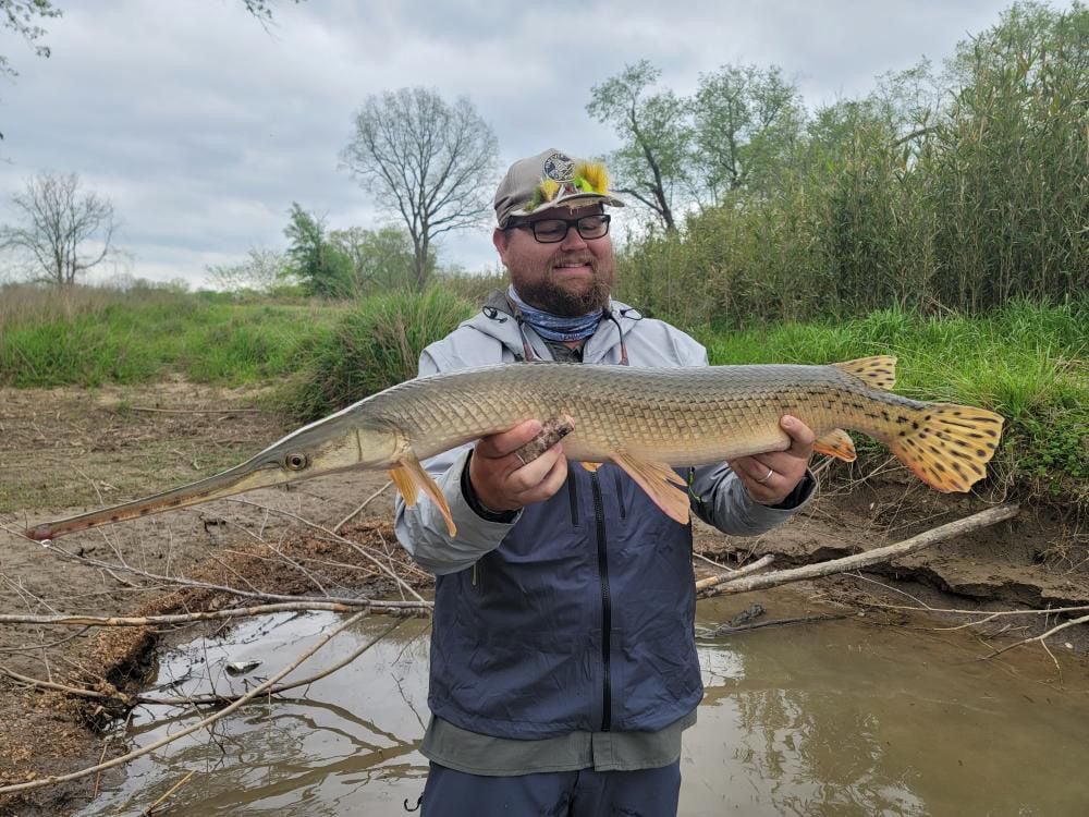 Longnose Gar caught at Oklahoma