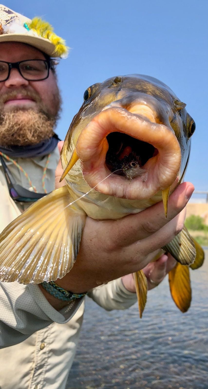 Common Carp caught at Texas