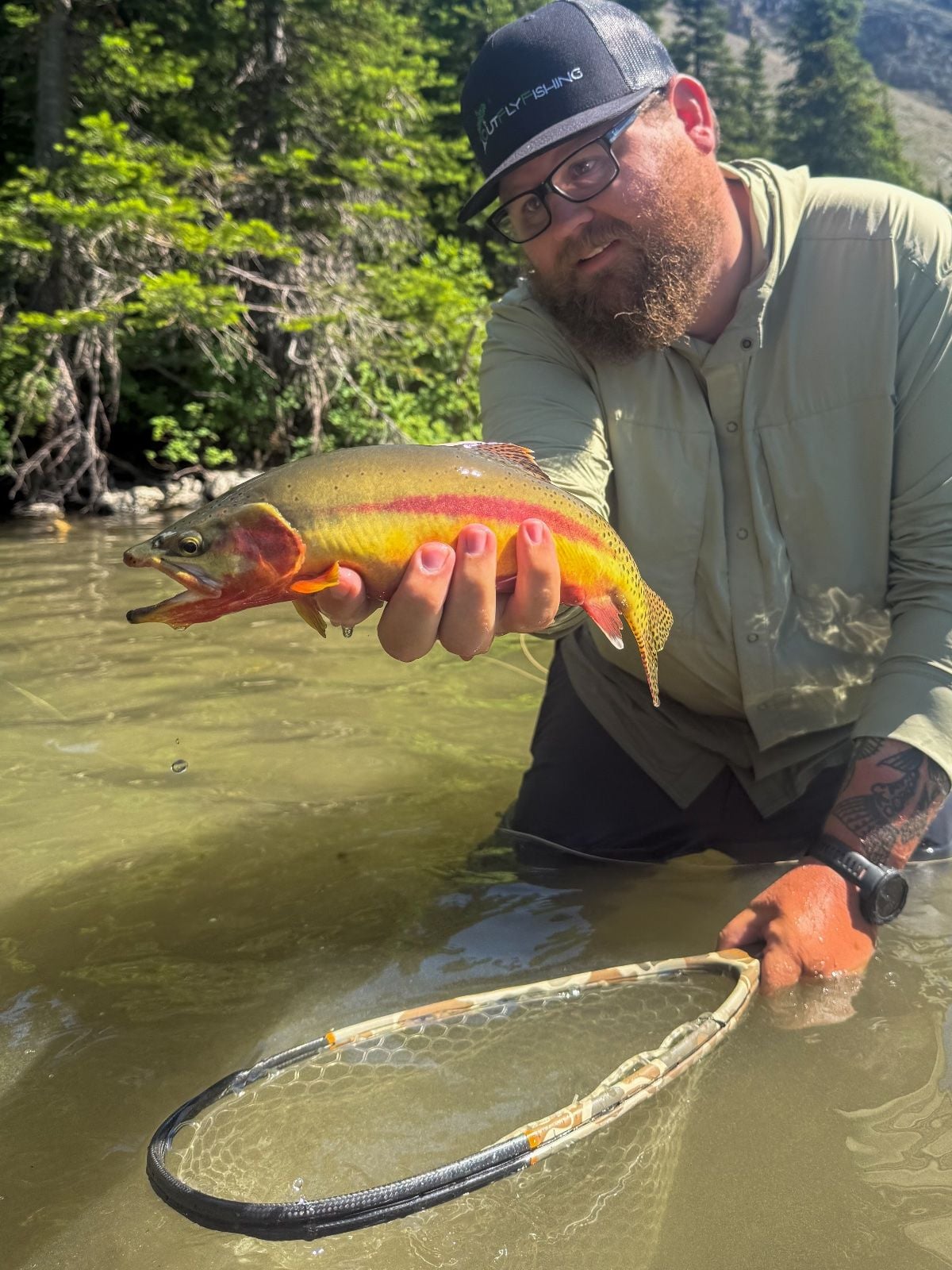 Golden Trout caught at Canada