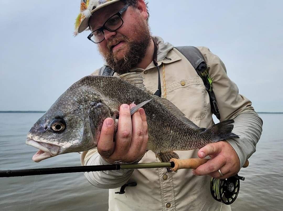 Freshwater Drum caught at Texas