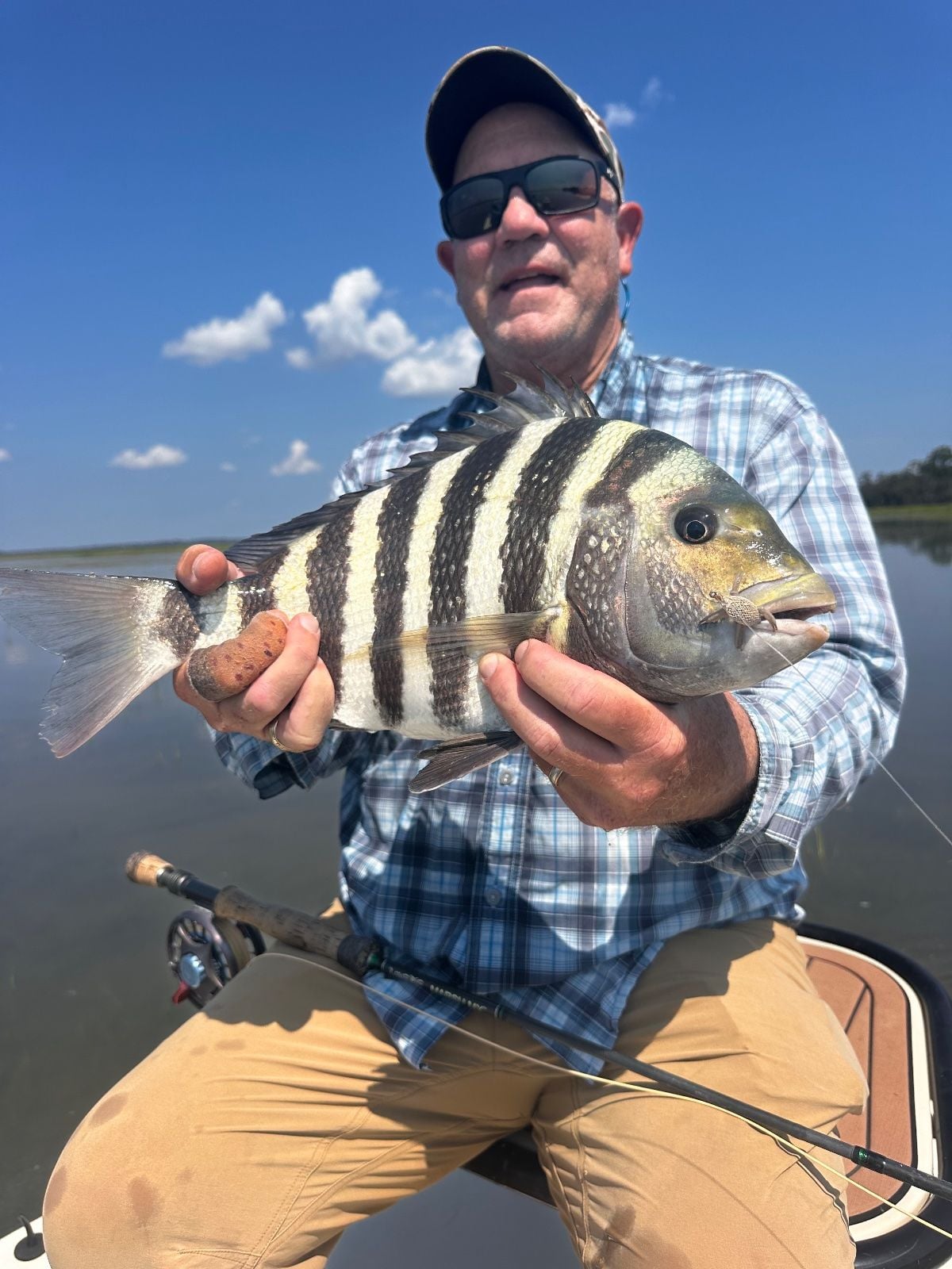 Sheepshead caught at Darien, GA